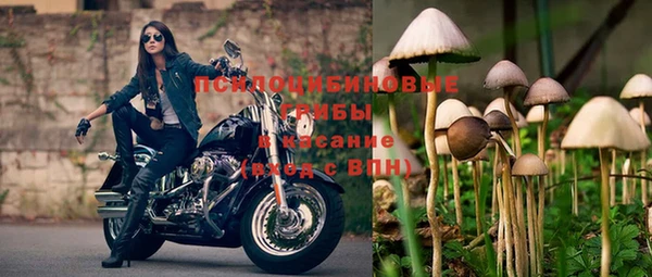 мдпв Арсеньев
