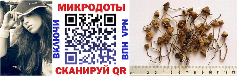 Псилоцибиновые грибы MAGIC MUSHROOMS  Суздаль 