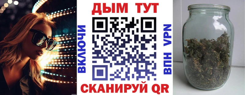 Каннабис планчик Суздаль
