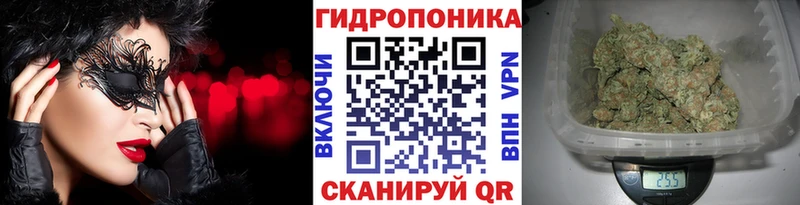 Канабис Ganja  Суздаль 